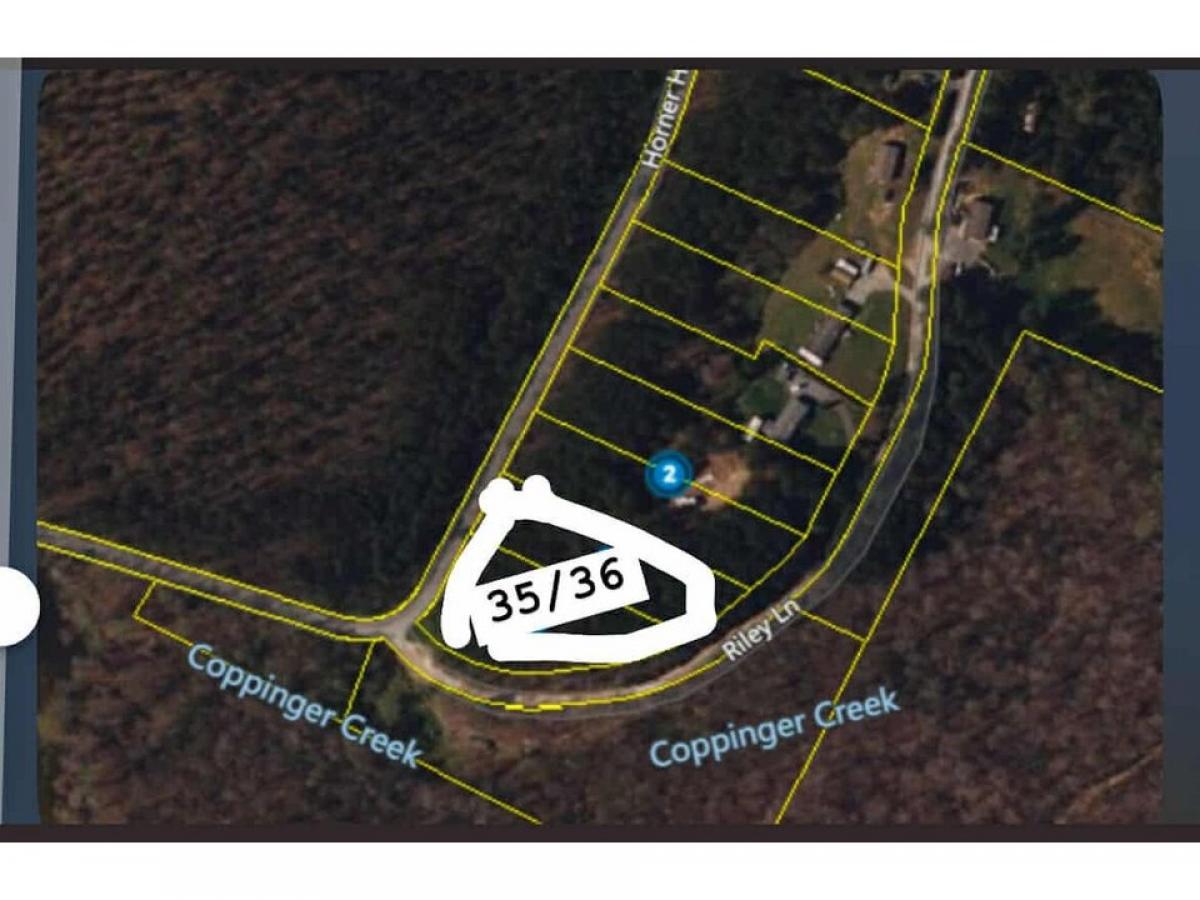 Picture of Residential Land For Sale in Birchwood, Tennessee, United States