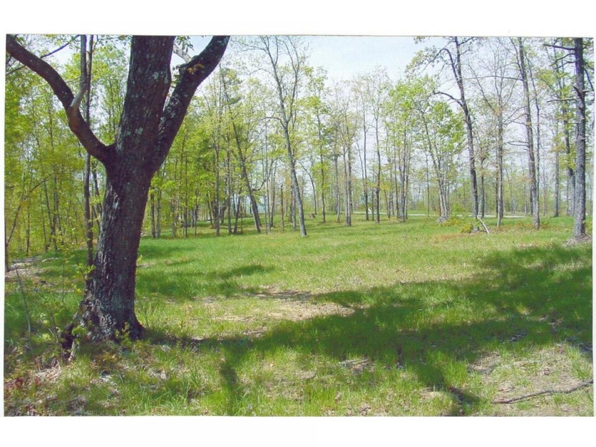 Picture of Residential Land For Sale in Dunlap, Tennessee, United States