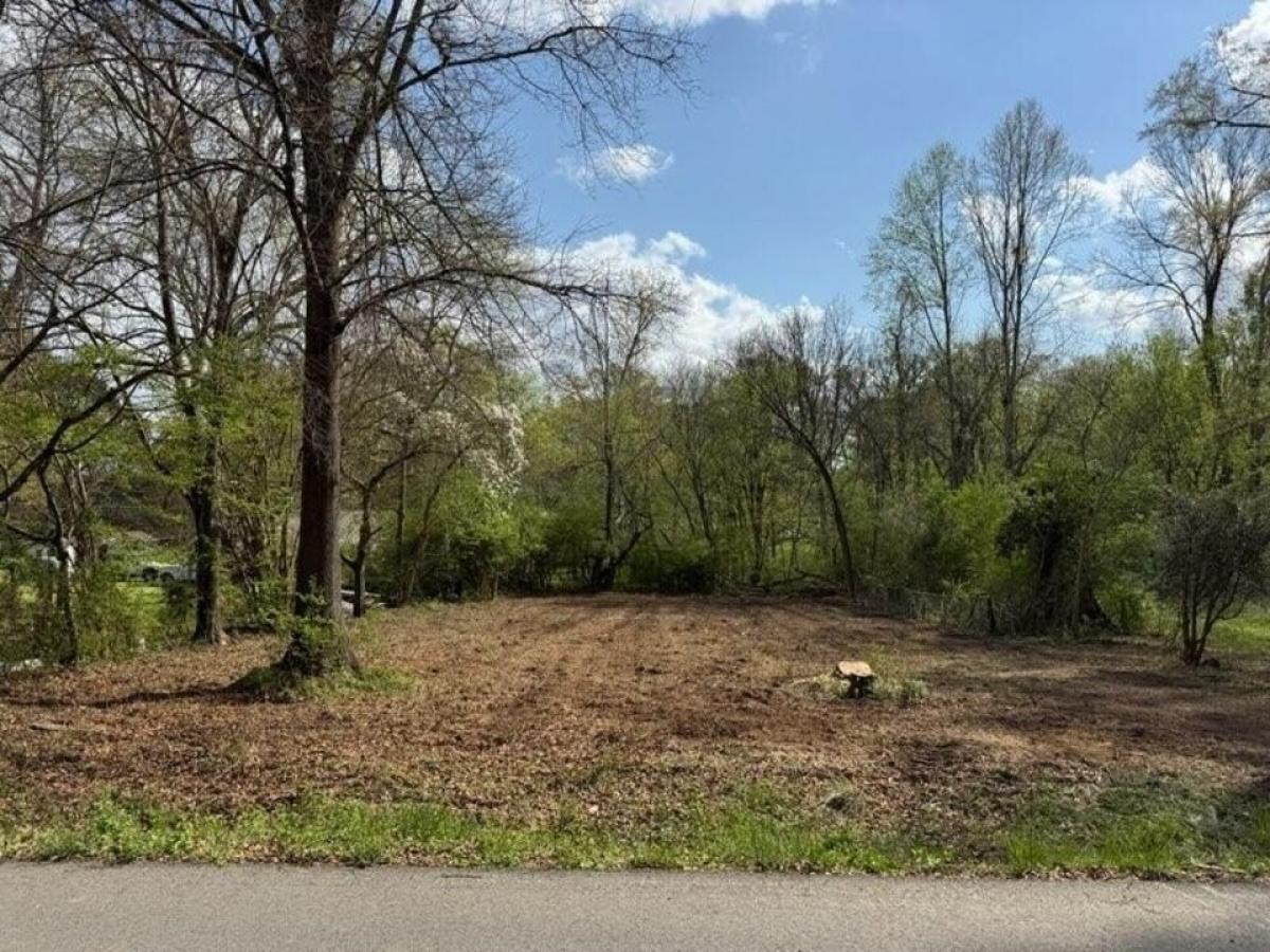 Picture of Residential Land For Sale in Lafayette, Georgia, United States