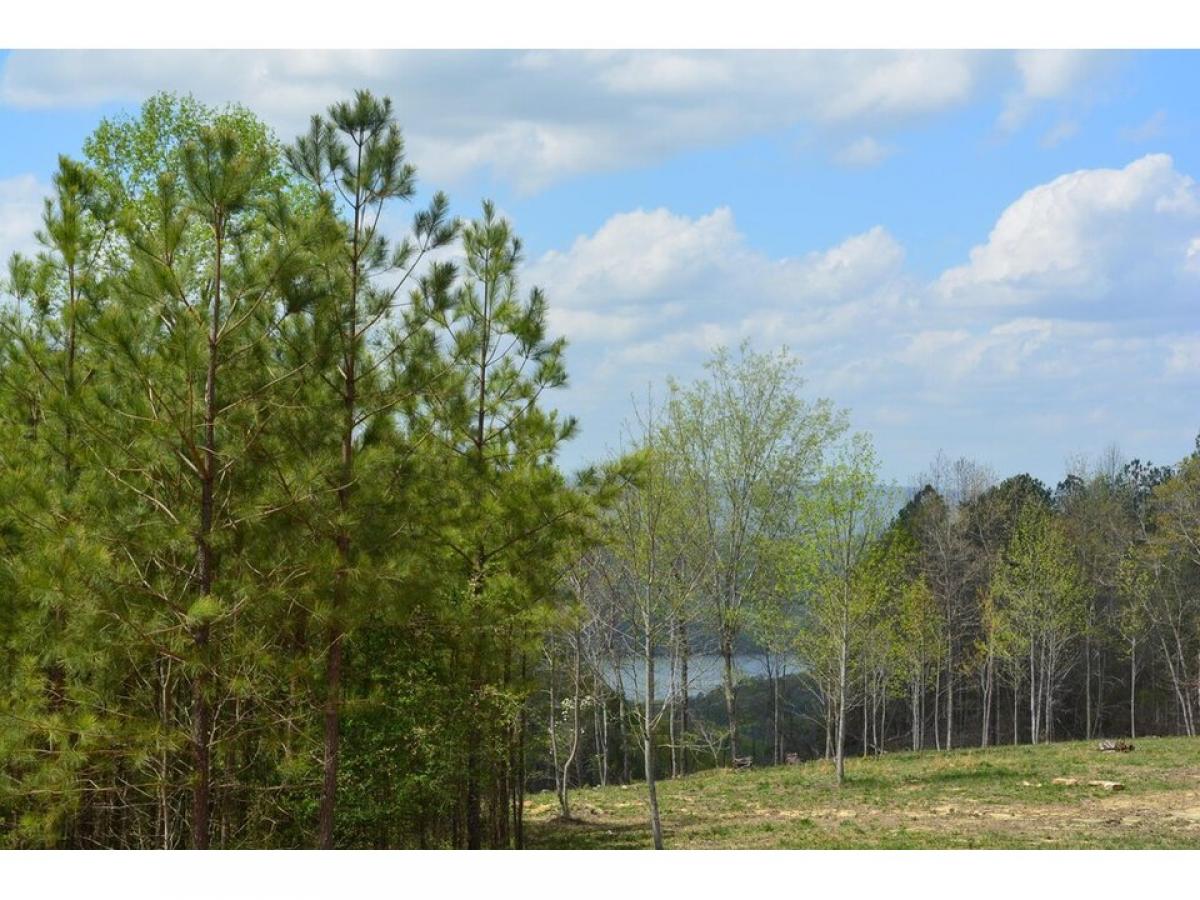 Picture of Residential Land For Sale in Guild, Tennessee, United States