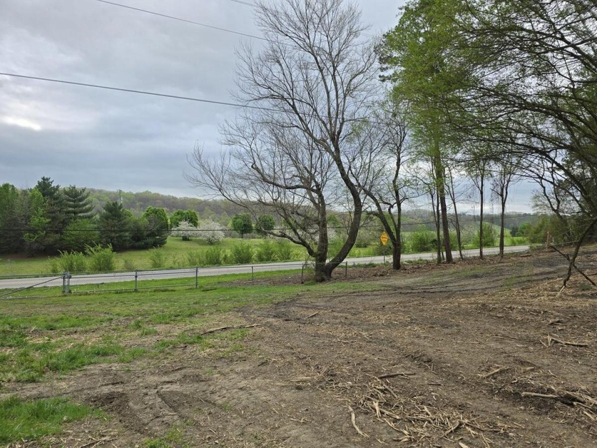 Picture of Residential Land For Sale in Cleveland, Tennessee, United States