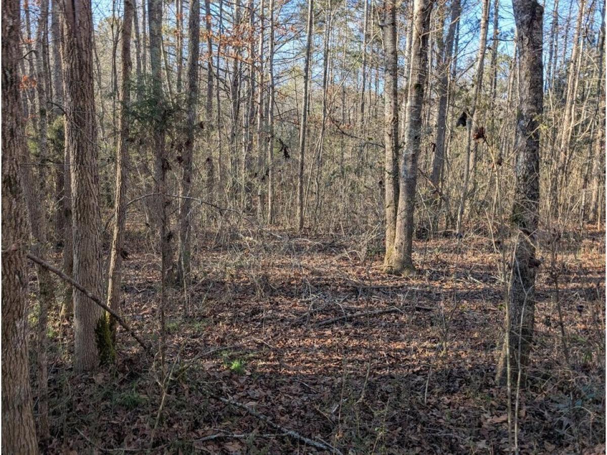 Picture of Residential Land For Sale in Trion, Georgia, United States