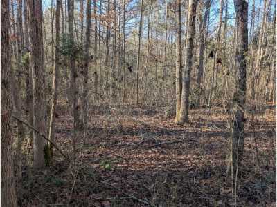 Residential Land For Sale in Trion, Georgia