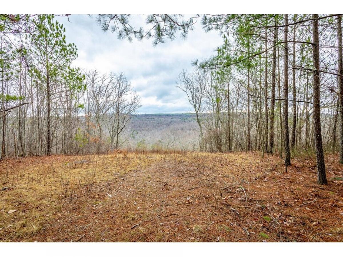 Picture of Residential Land For Sale in Guild, Tennessee, United States