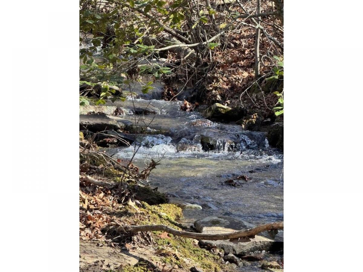 Picture of Residential Land For Sale in Dunlap, Tennessee, United States