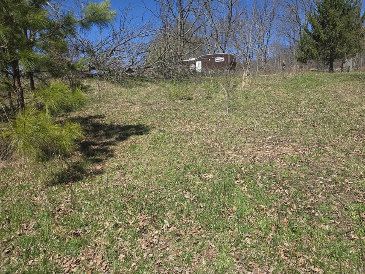 Picture of Residential Land For Sale in Palmer, Tennessee, United States
