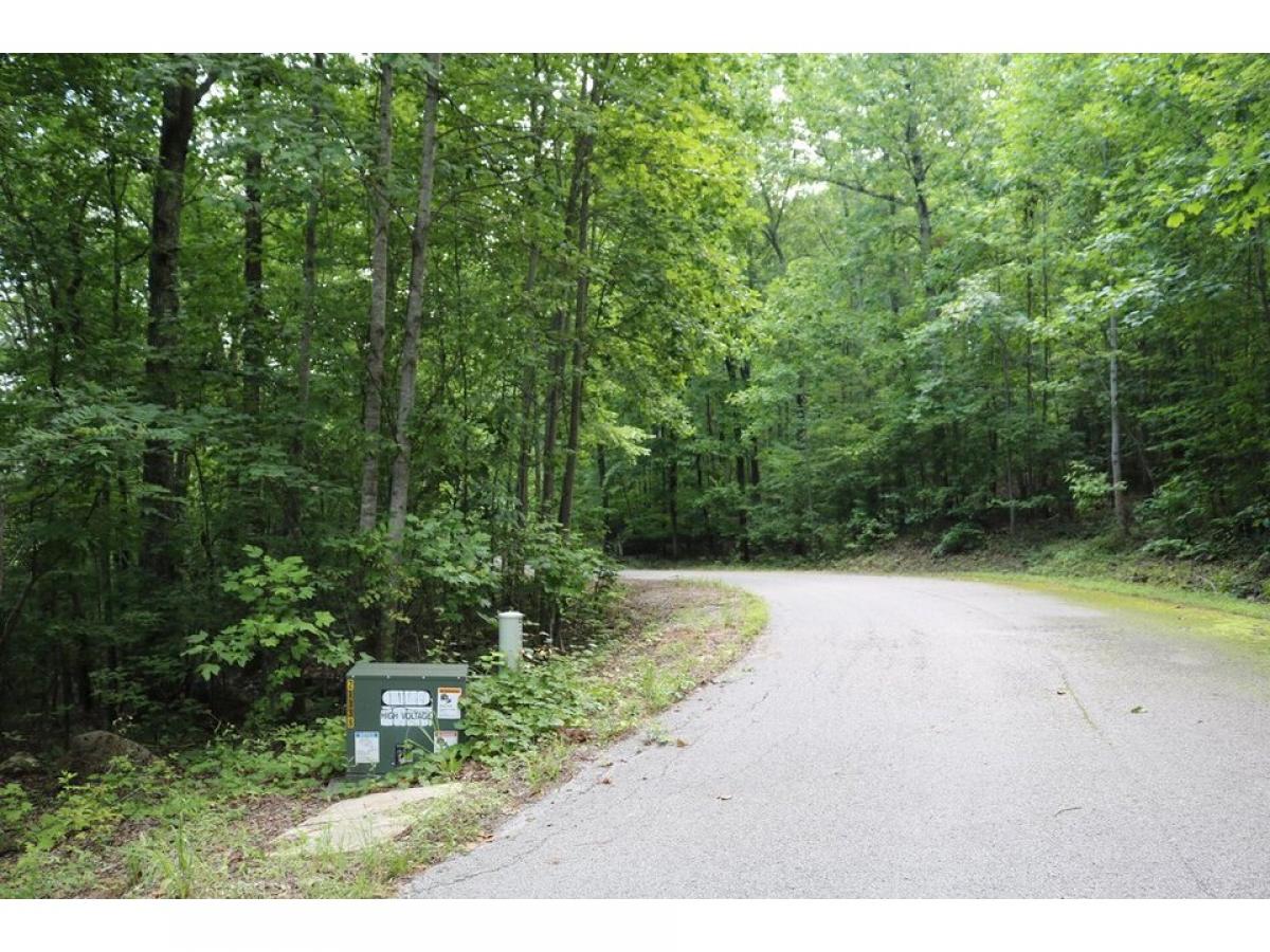 Picture of Residential Land For Sale in South Pittsburg, Tennessee, United States