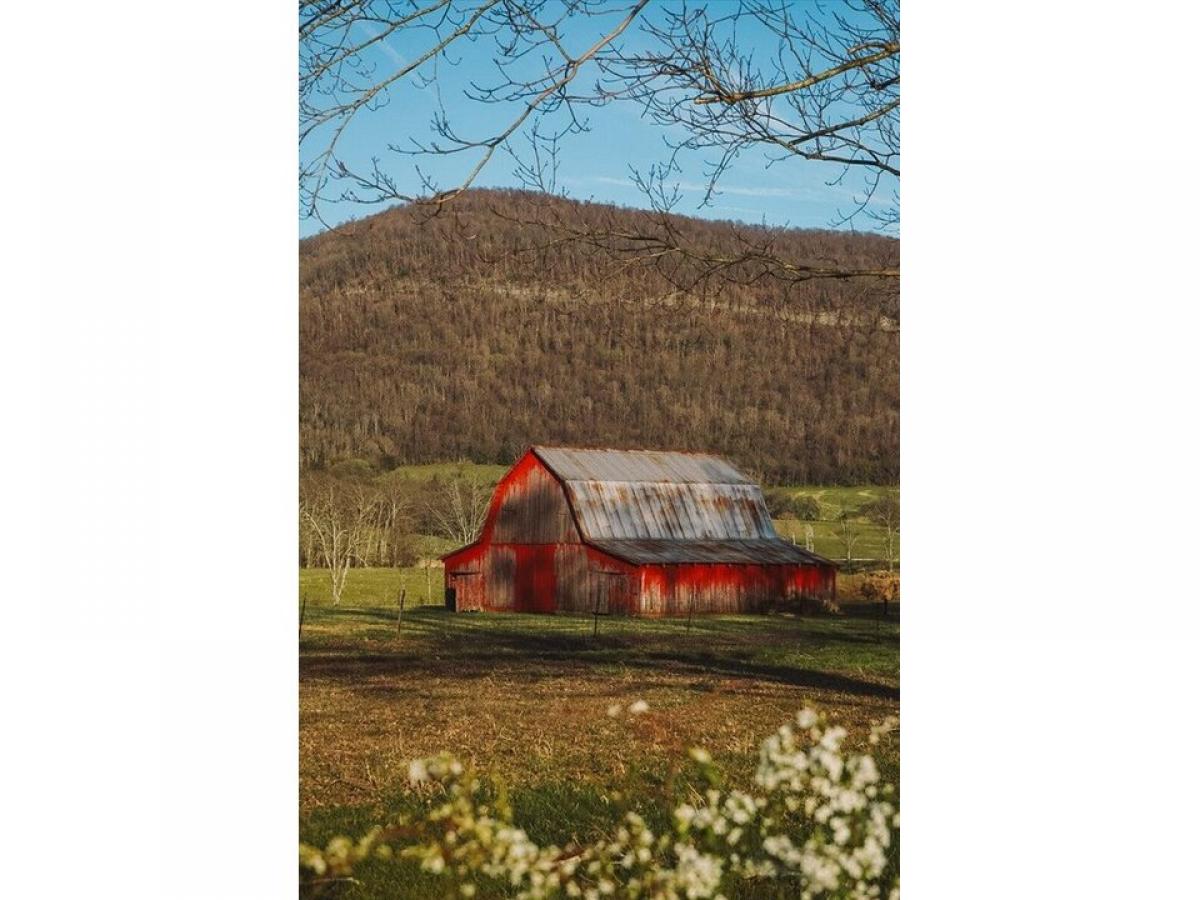 Picture of Residential Land For Sale in Pikeville, Tennessee, United States