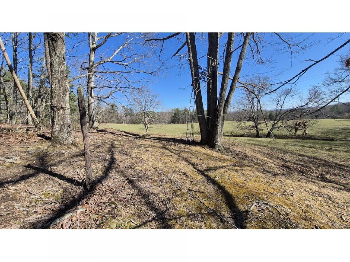 Picture of Residential Land For Sale in South Pittsburg, Tennessee, United States
