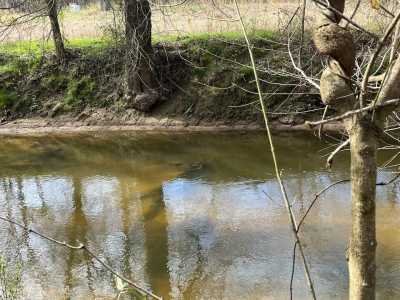 Residential Land For Sale in Higdon, Alabama