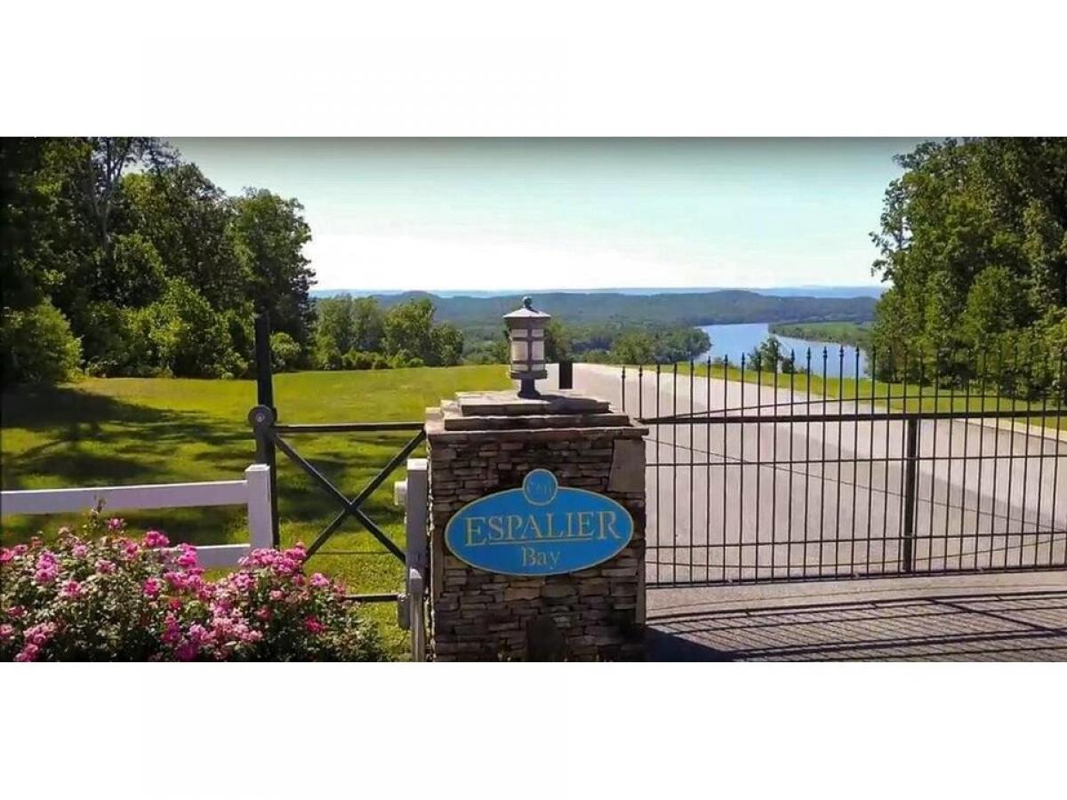 Picture of Residential Land For Sale in Decatur, Tennessee, United States