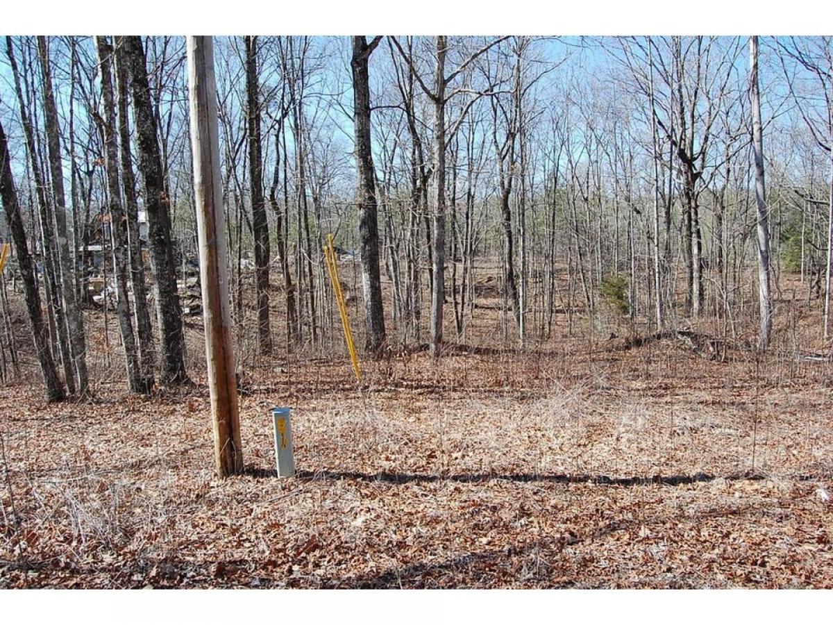 Picture of Residential Land For Sale in Dunlap, Tennessee, United States