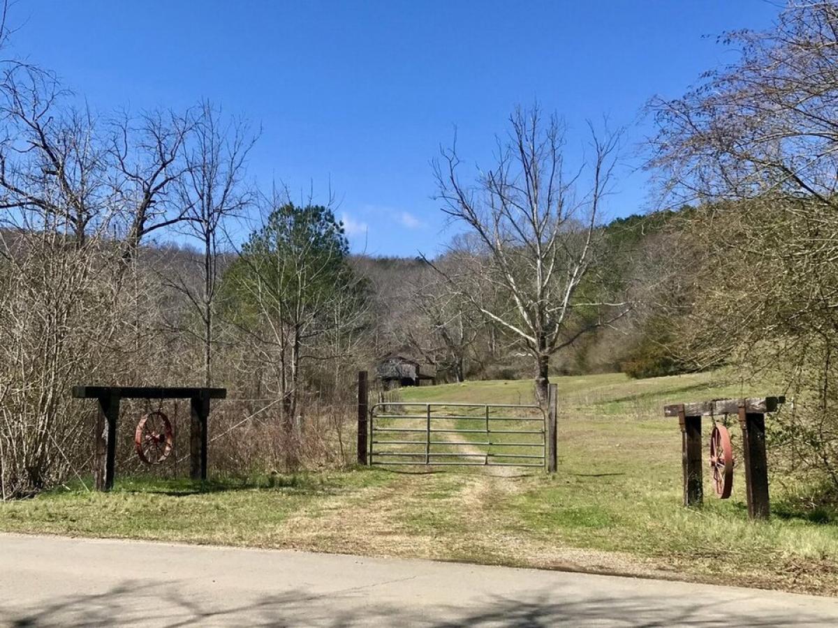 Picture of Residential Land For Sale in Rising Fawn, Georgia, United States