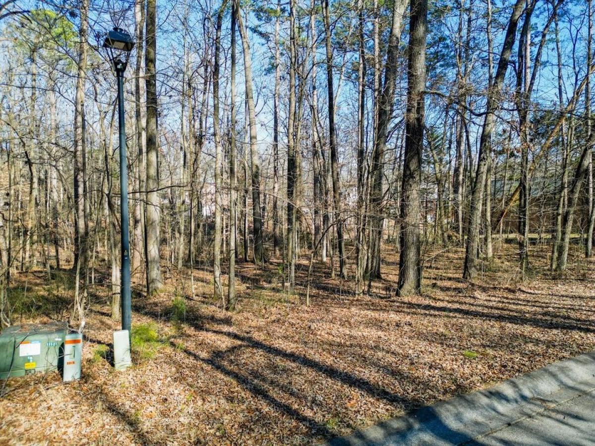Picture of Residential Land For Sale in Chatsworth, Georgia, United States