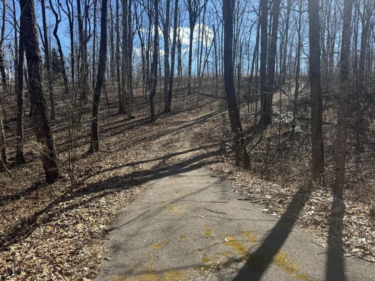 Picture of Residential Land For Sale in Cohutta, Georgia, United States