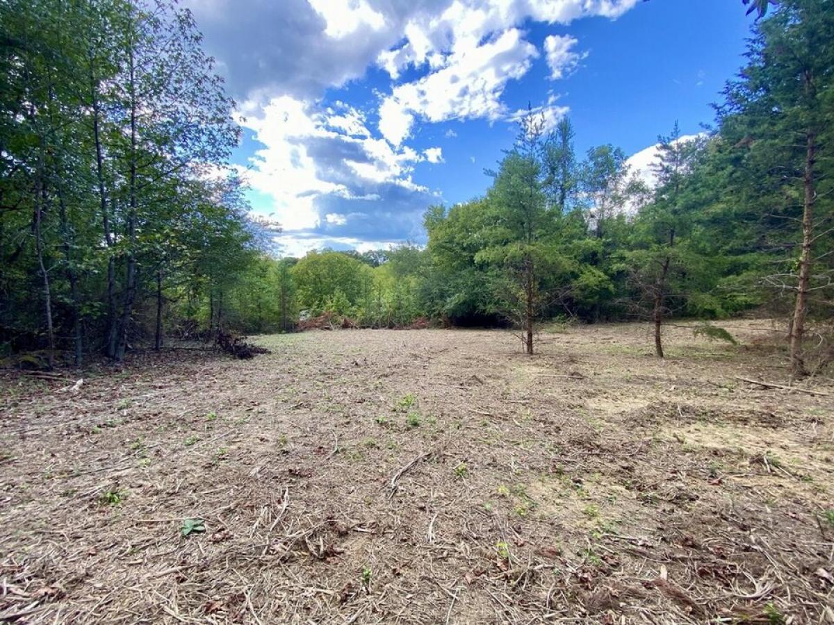 Picture of Residential Land For Sale in Dunlap, Tennessee, United States