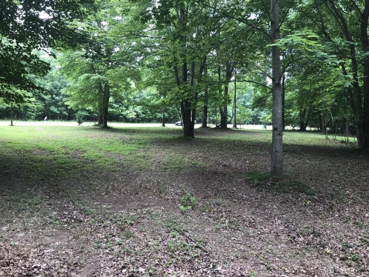 Picture of Residential Land For Sale in Dunlap, Tennessee, United States