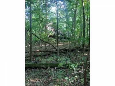 Residential Land For Sale in Dunlap, Tennessee