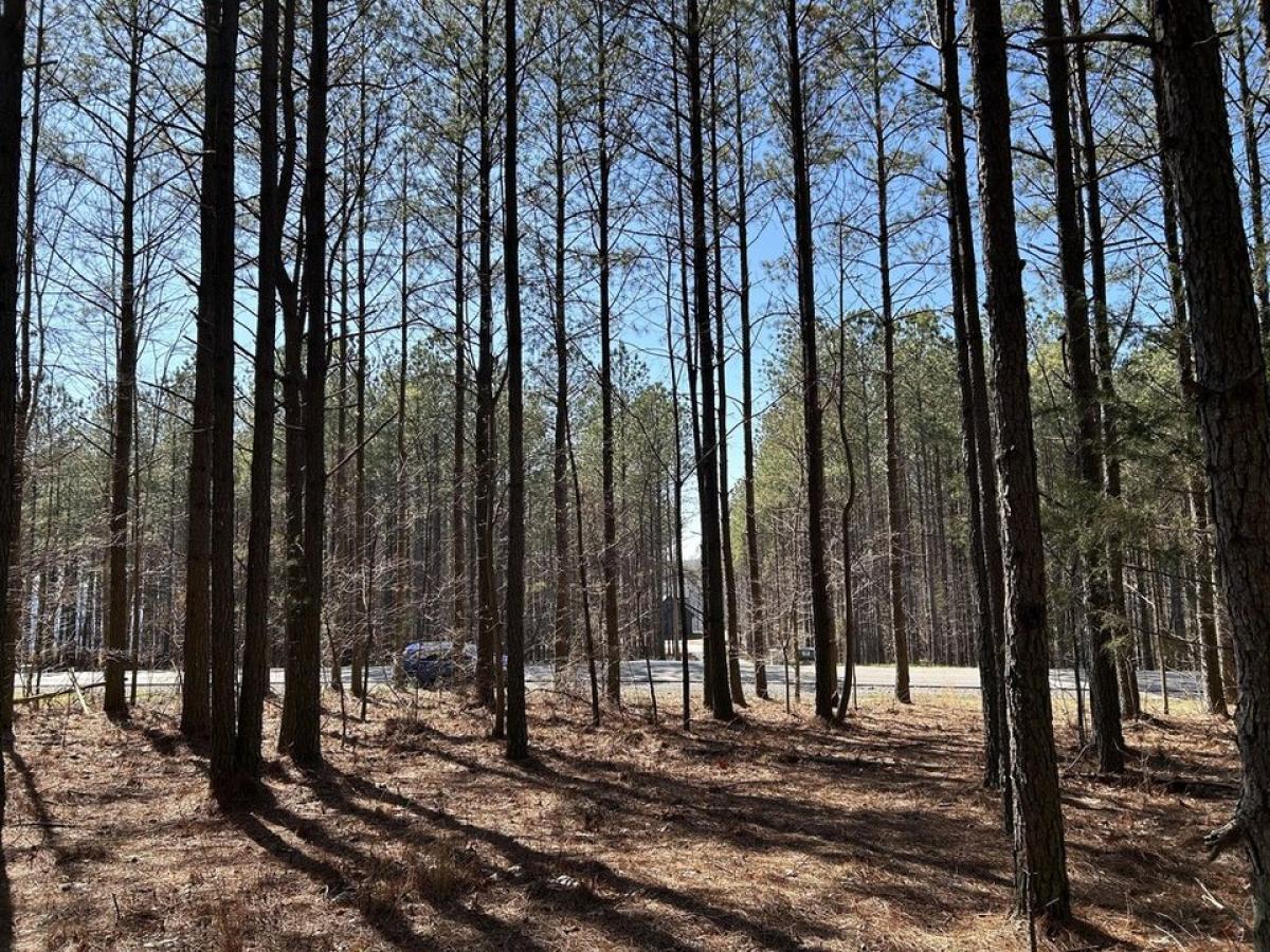 Picture of Residential Land For Sale in South Pittsburg, Tennessee, United States