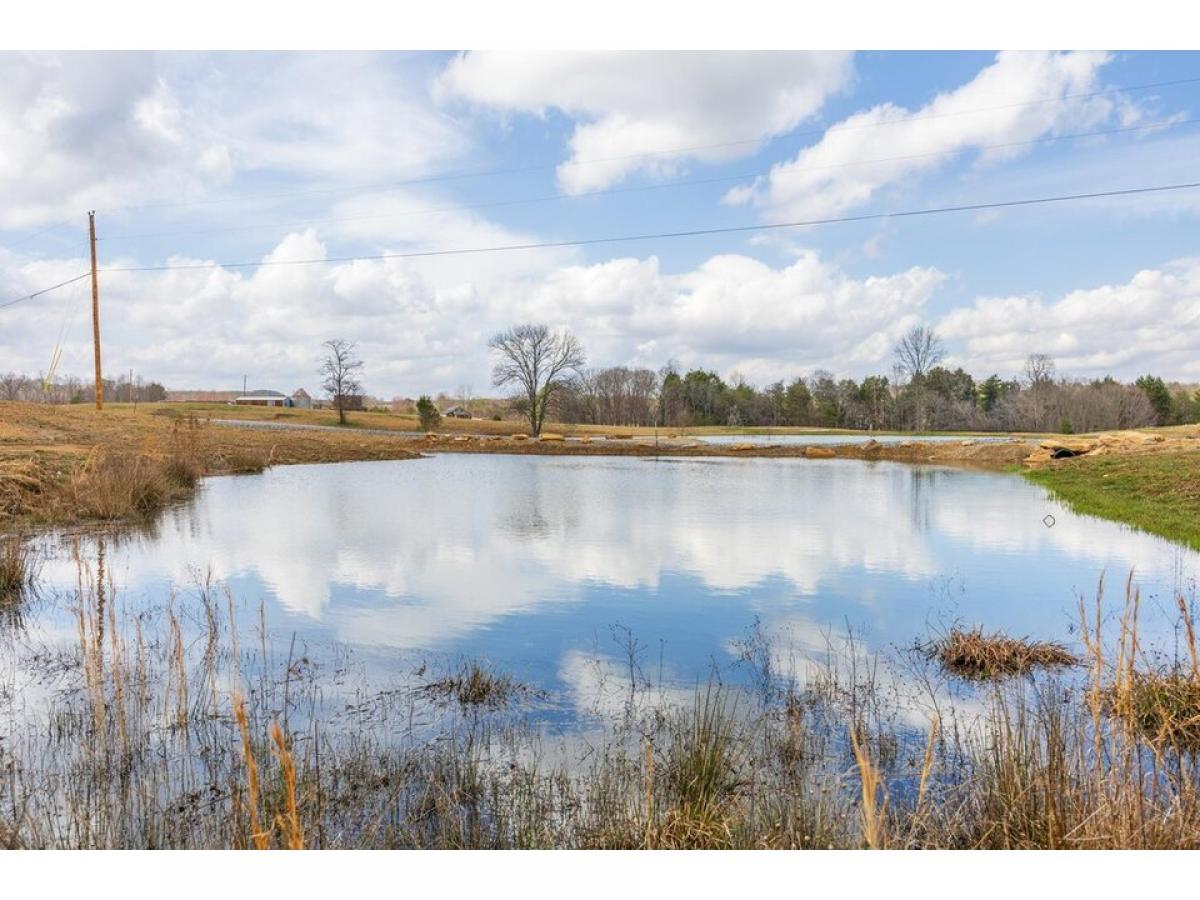 Picture of Residential Land For Sale in Graysville, Tennessee, United States