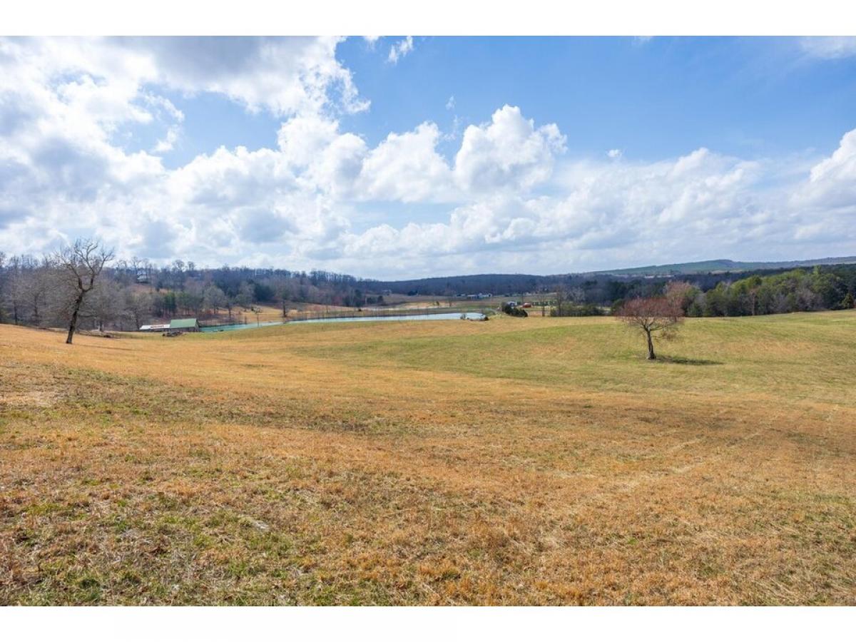 Picture of Residential Land For Sale in Graysville, Tennessee, United States