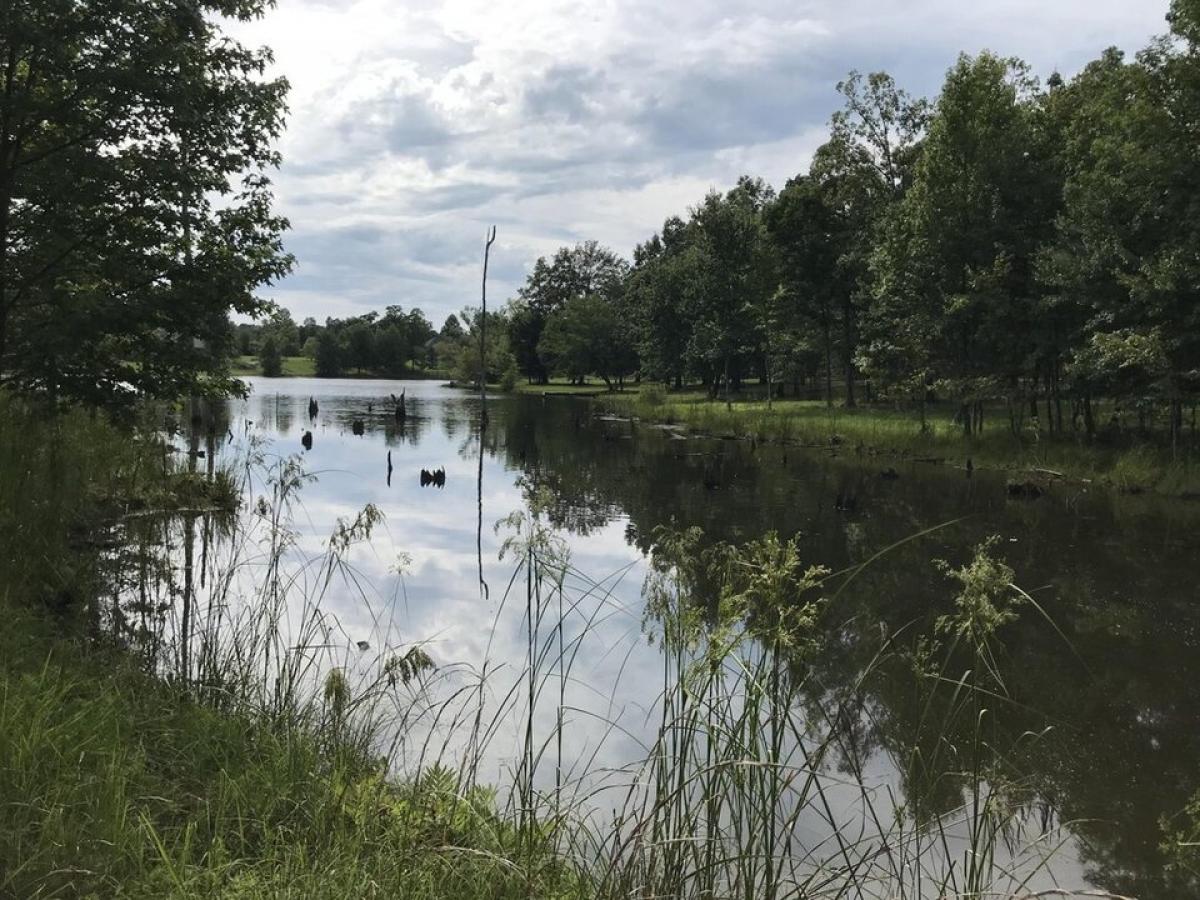 Picture of Residential Land For Sale in Dunlap, Tennessee, United States