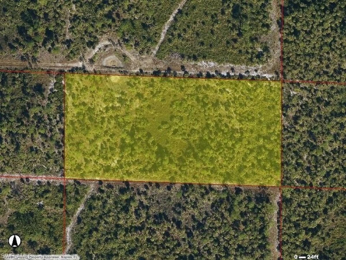 Picture of Residential Land For Sale in Naples, Florida, United States