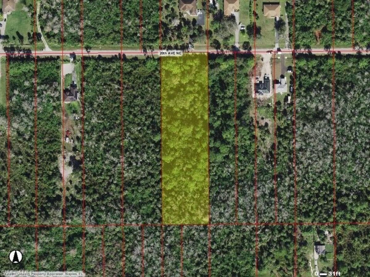 Picture of Residential Land For Sale in Naples, Florida, United States