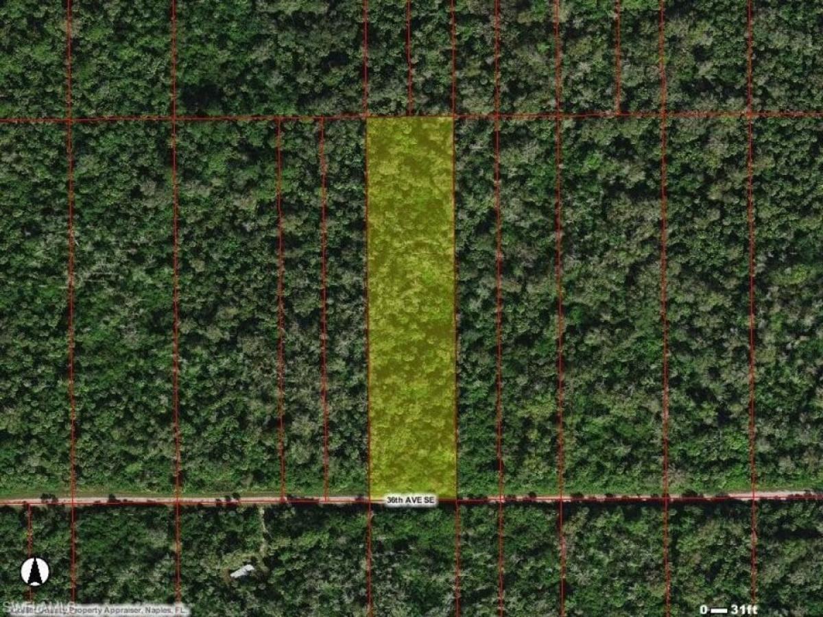 Picture of Residential Land For Sale in Naples, Florida, United States