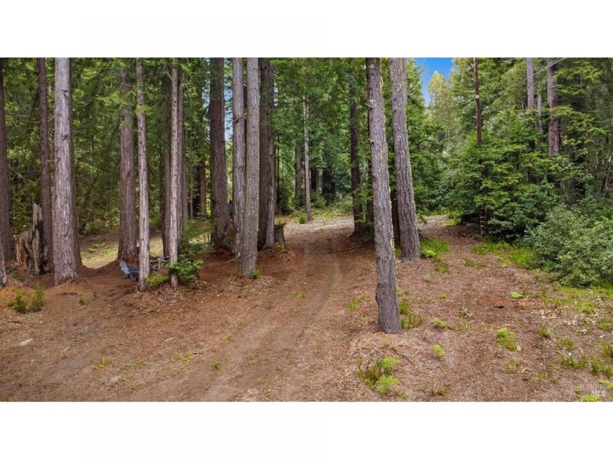 Picture of Residential Land For Sale in Jenner, California, United States