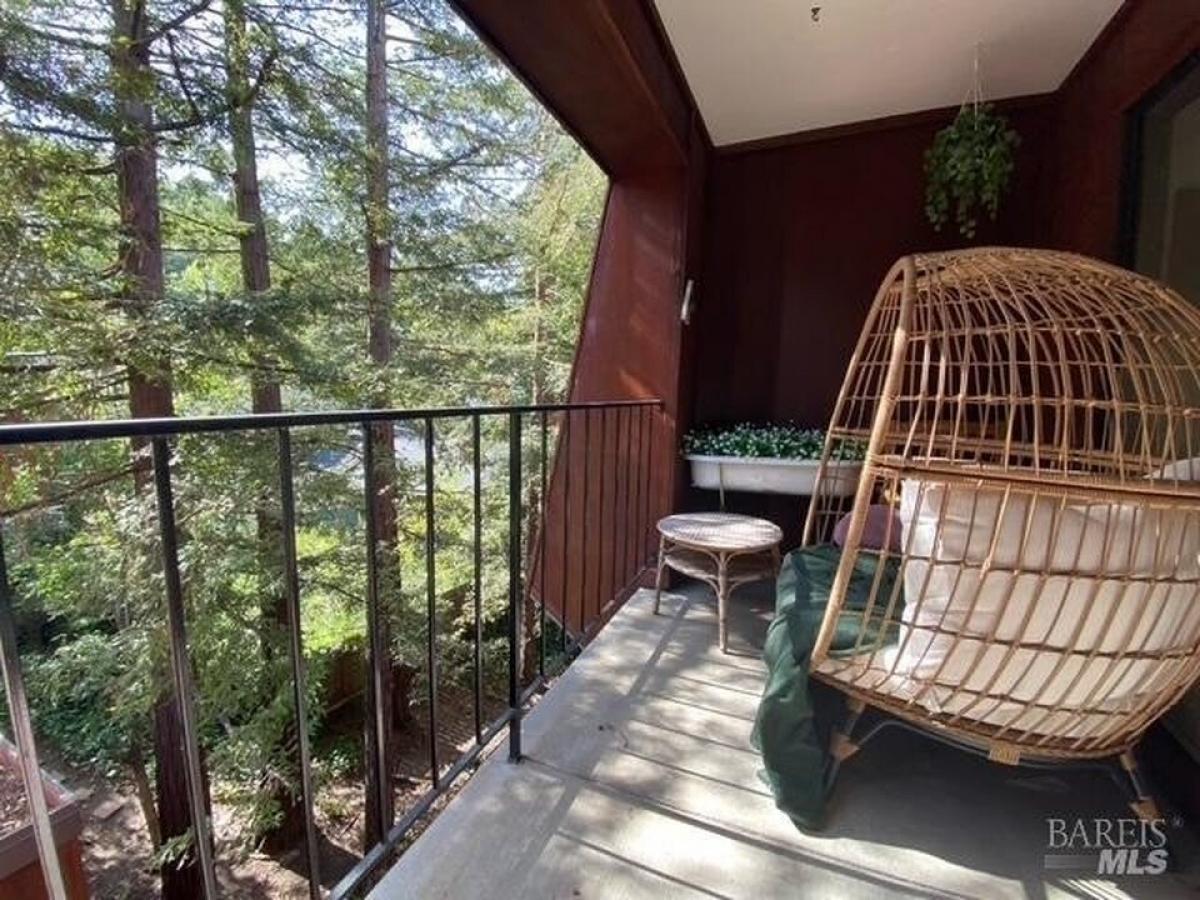 Picture of Home For Sale in San Rafael, California, United States