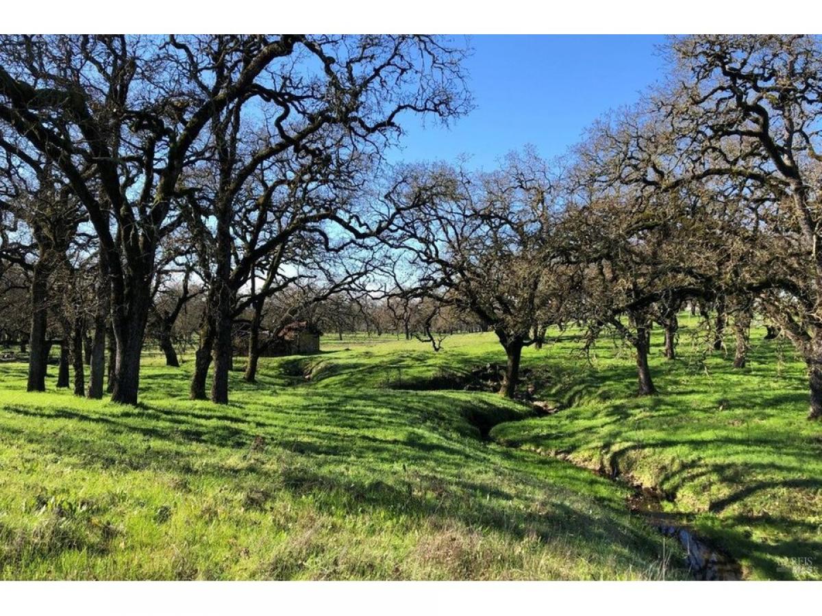 Picture of Residential Land For Sale in Santa Rosa, California, United States