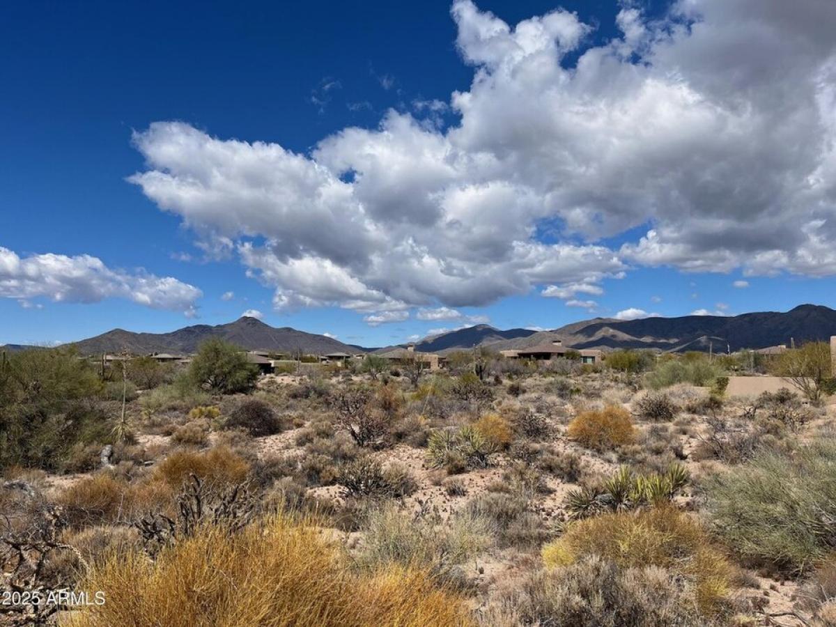 Picture of Residential Land For Sale in Scottsdale, Arizona, United States