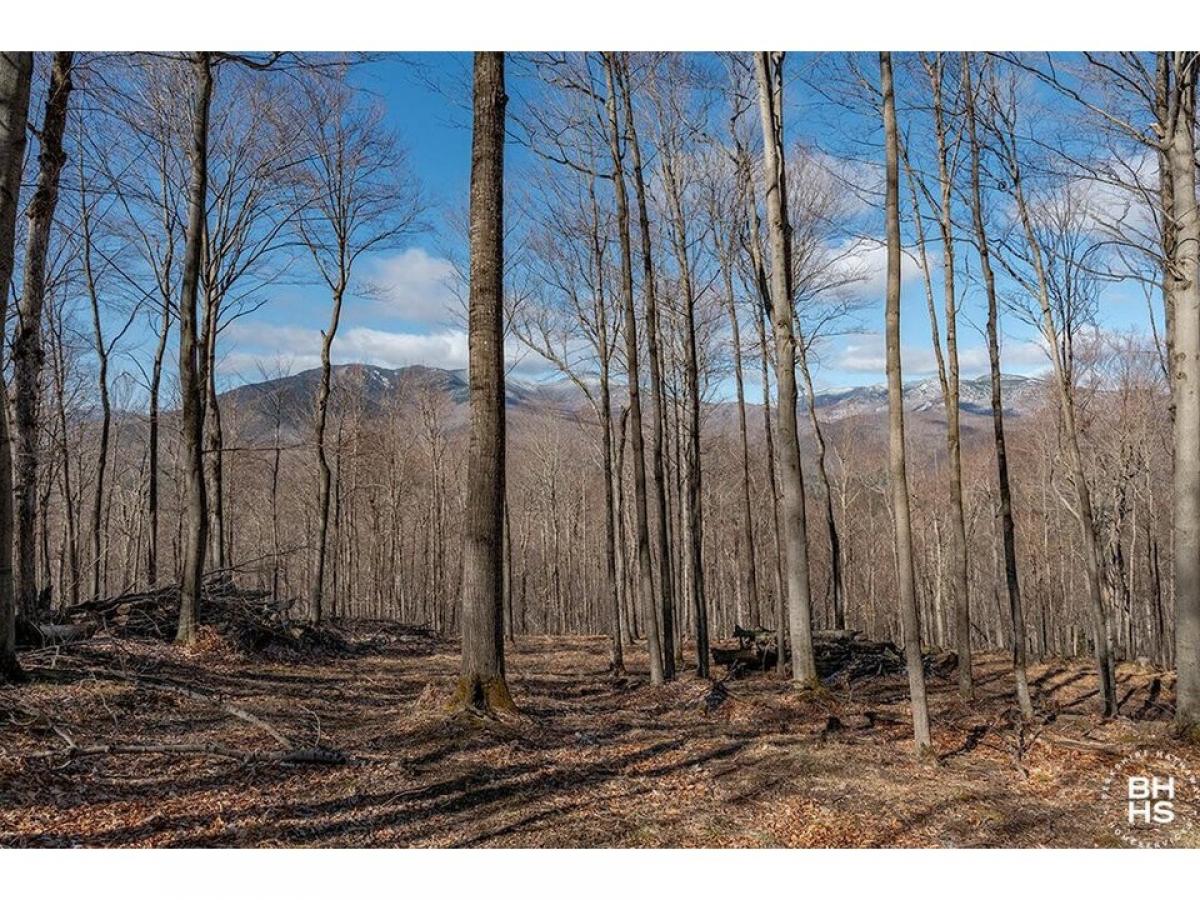 Picture of Residential Land For Sale in Keene, New York, United States