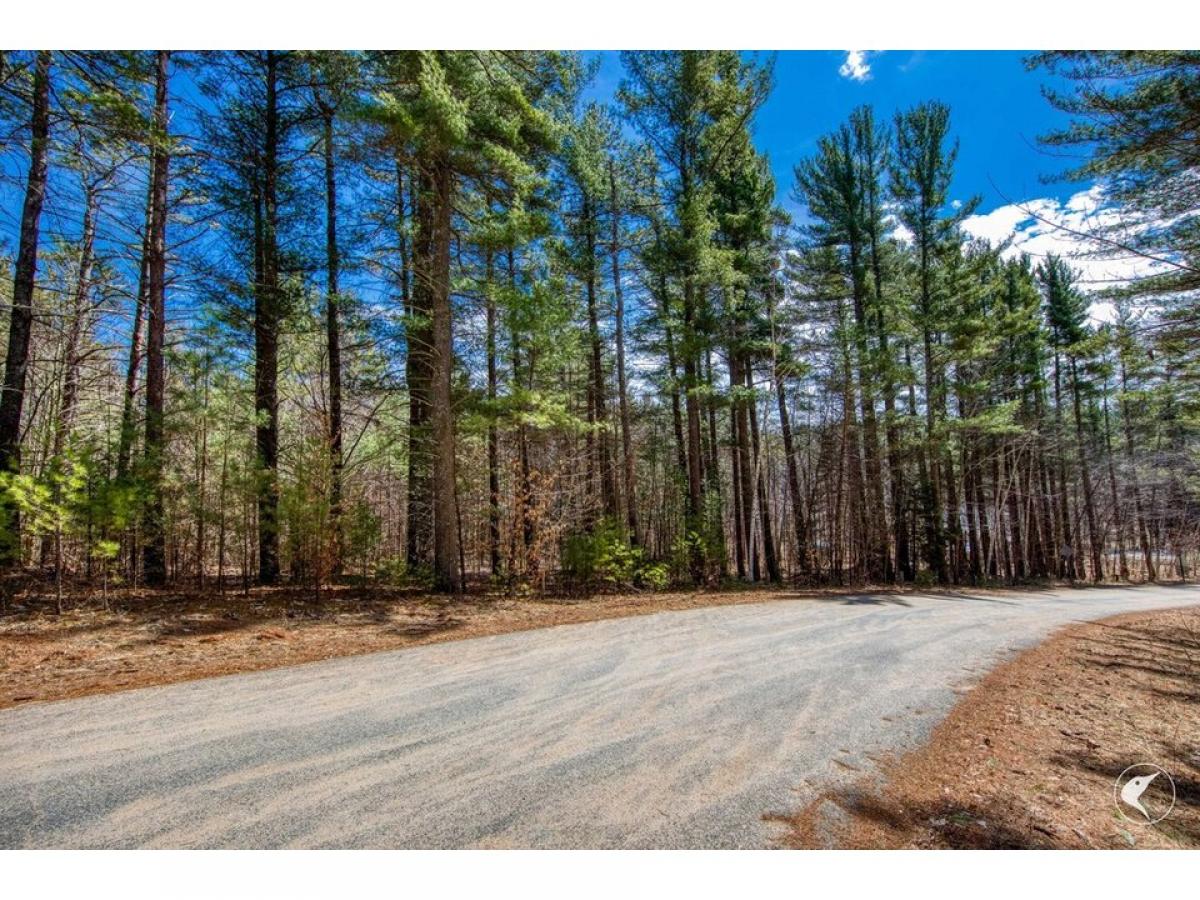 Picture of Residential Land For Sale in Wilmington, New York, United States
