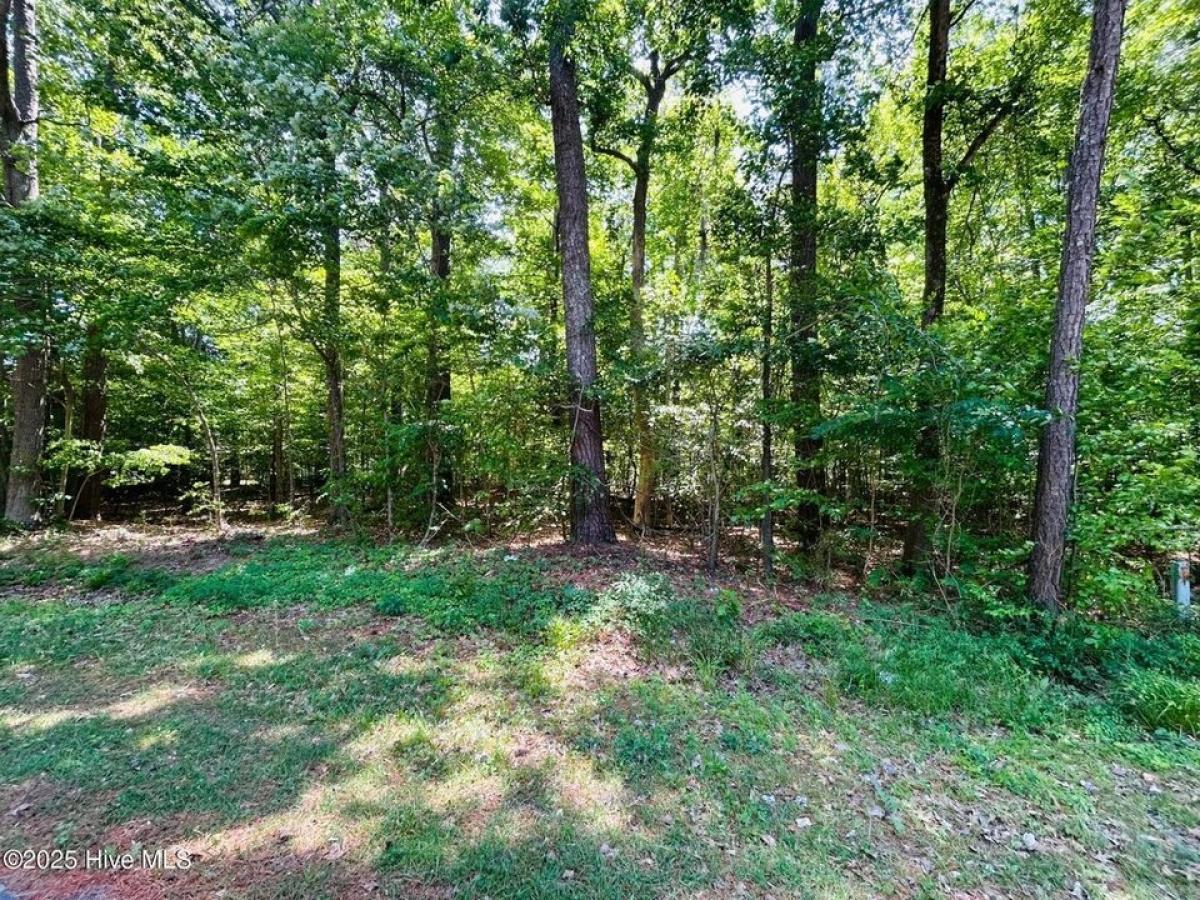 Picture of Residential Land For Sale in Hertford, North Carolina, United States