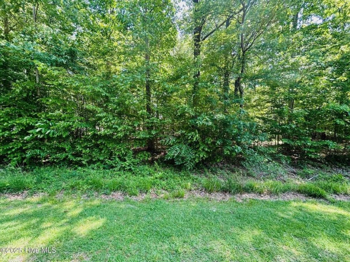 Picture of Residential Land For Sale in Hertford, North Carolina, United States