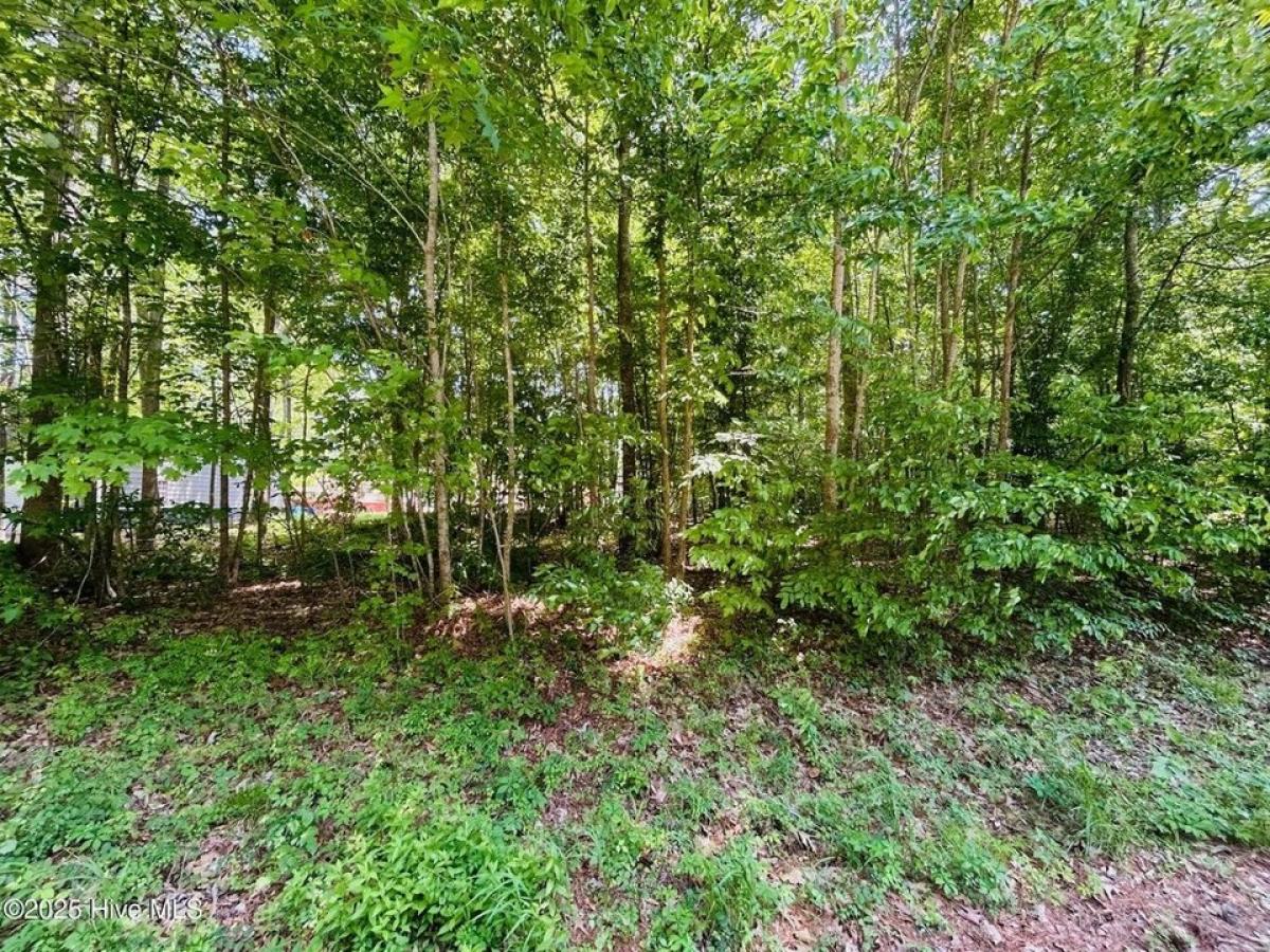 Picture of Residential Land For Sale in Hertford, North Carolina, United States