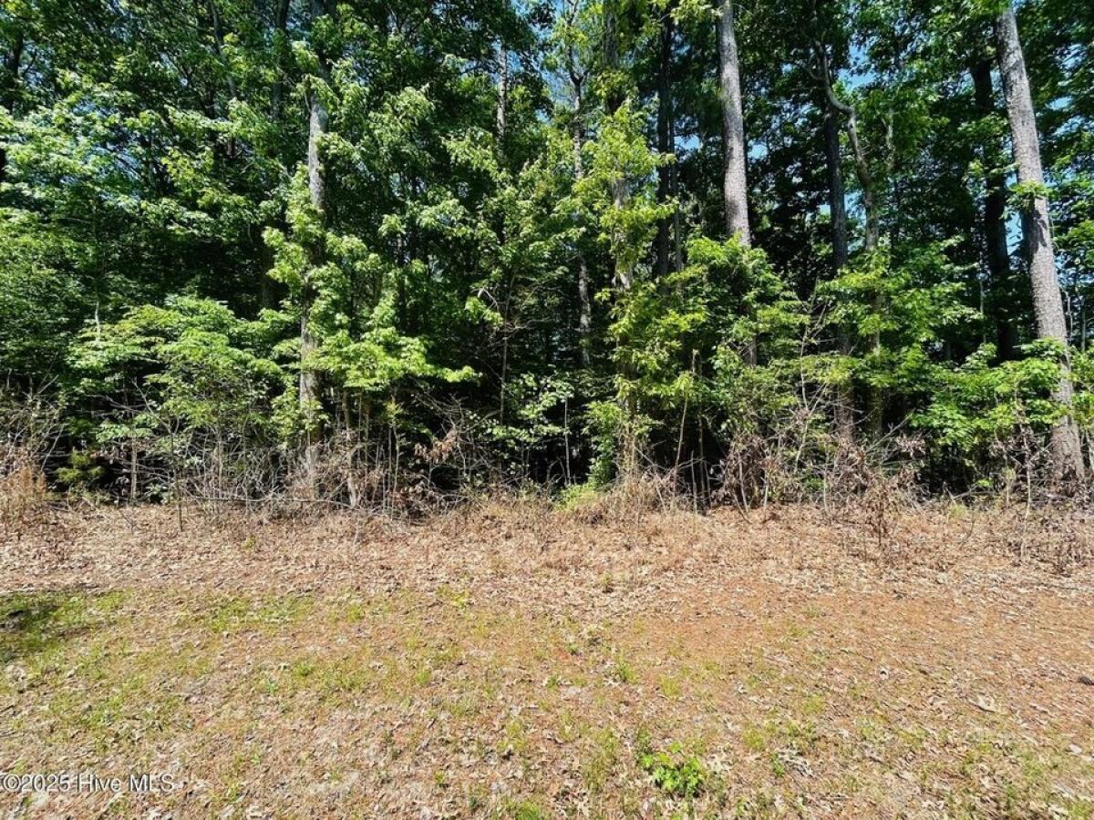 Picture of Residential Land For Sale in Hertford, North Carolina, United States