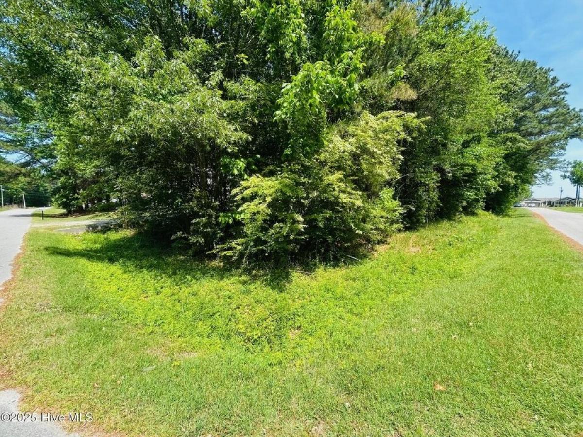 Picture of Residential Land For Sale in Hertford, North Carolina, United States