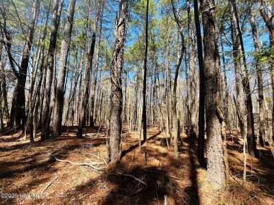 Residential Land For Rent in Hertford, North Carolina