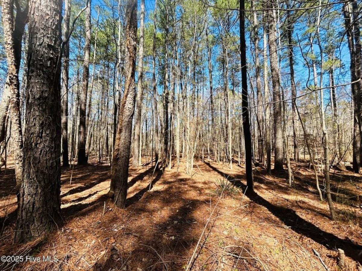Picture of Residential Land For Rent in Hertford, North Carolina, United States