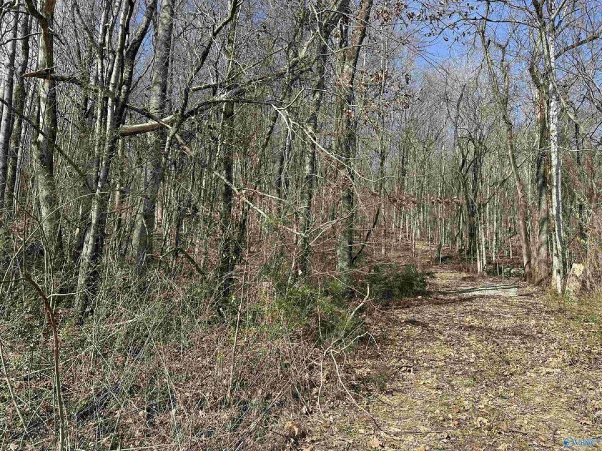 Picture of Residential Land For Sale in New Market, Alabama, United States