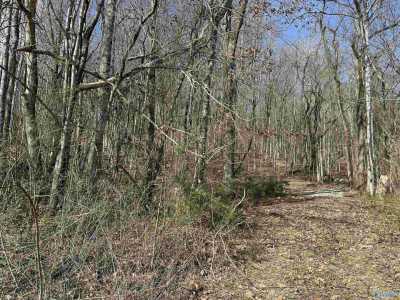 Residential Land For Sale in New Market, Alabama