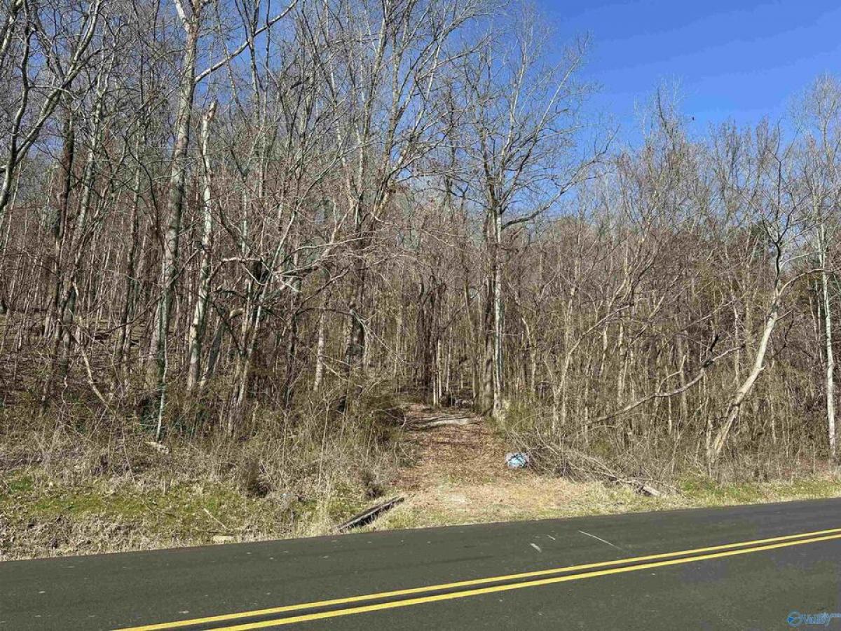 Picture of Residential Land For Sale in New Market, Alabama, United States