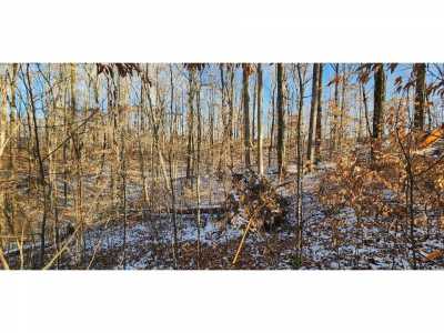 Residential Land For Sale in Sparta, Tennessee