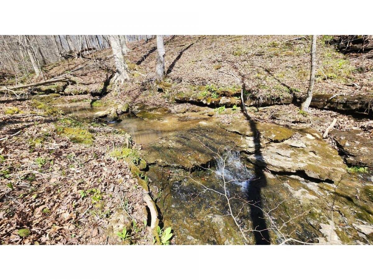 Picture of Residential Land For Sale in Smithville, Tennessee, United States