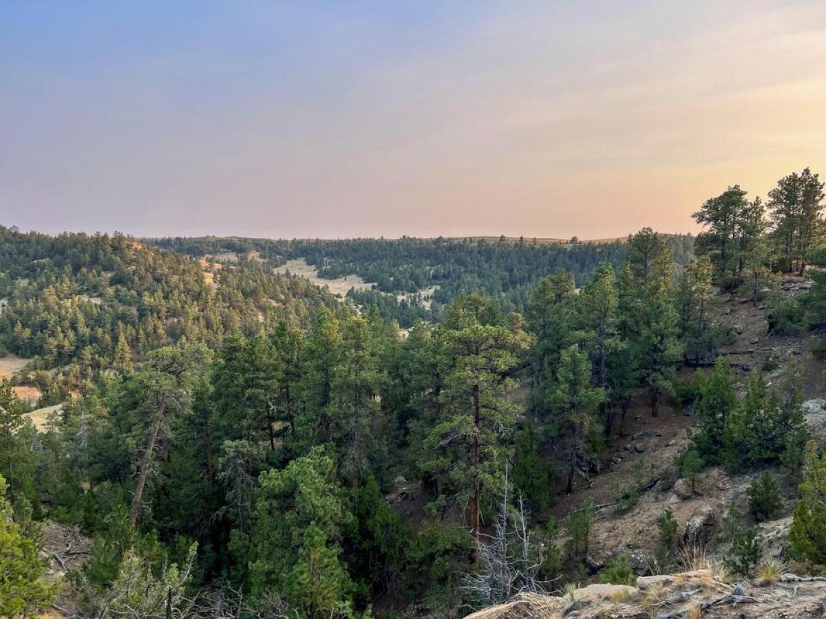 Picture of Residential Land For Sale in Leiter, Wyoming, United States