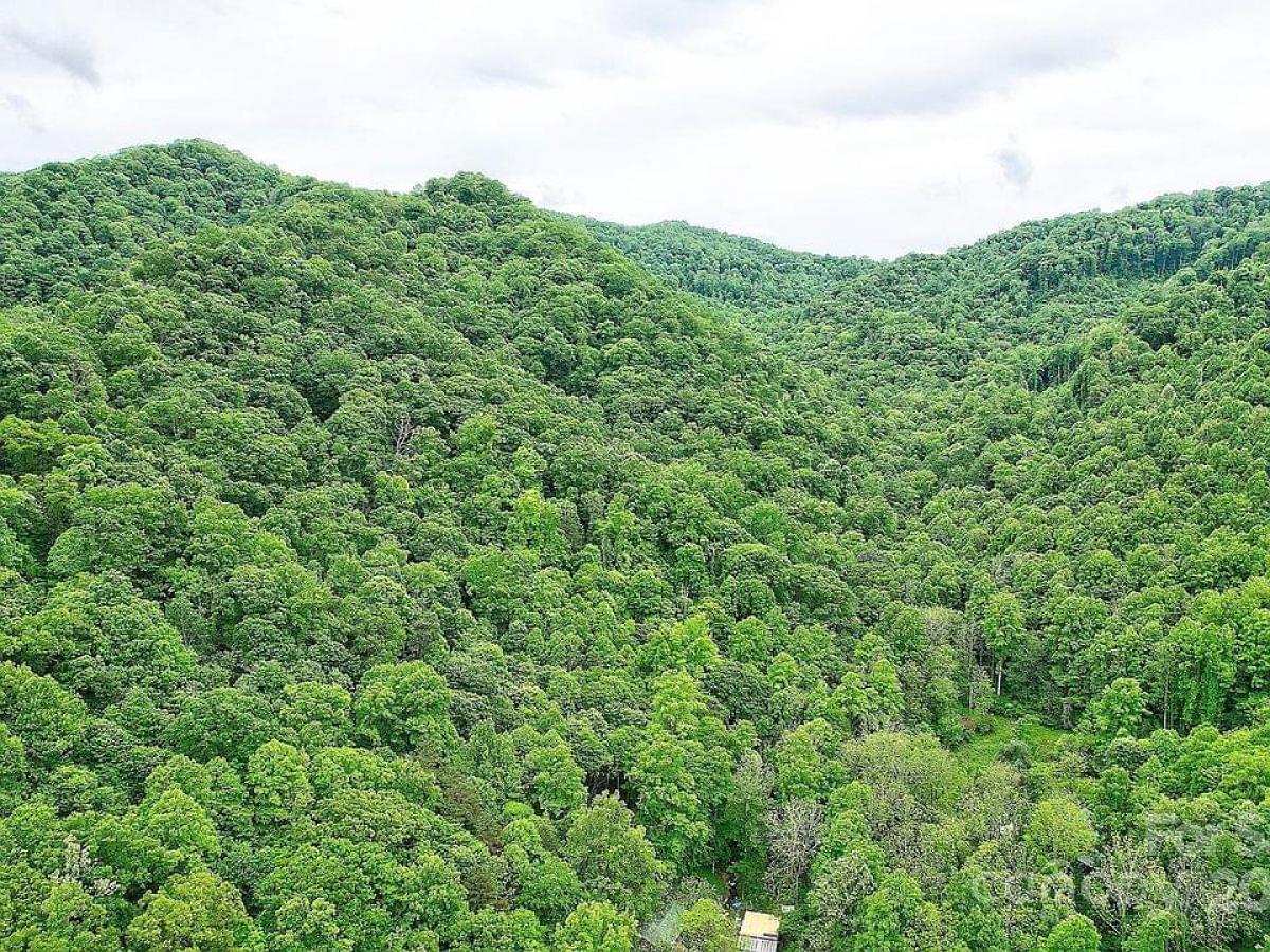 Picture of Residential Land For Sale in Mars Hill, North Carolina, United States