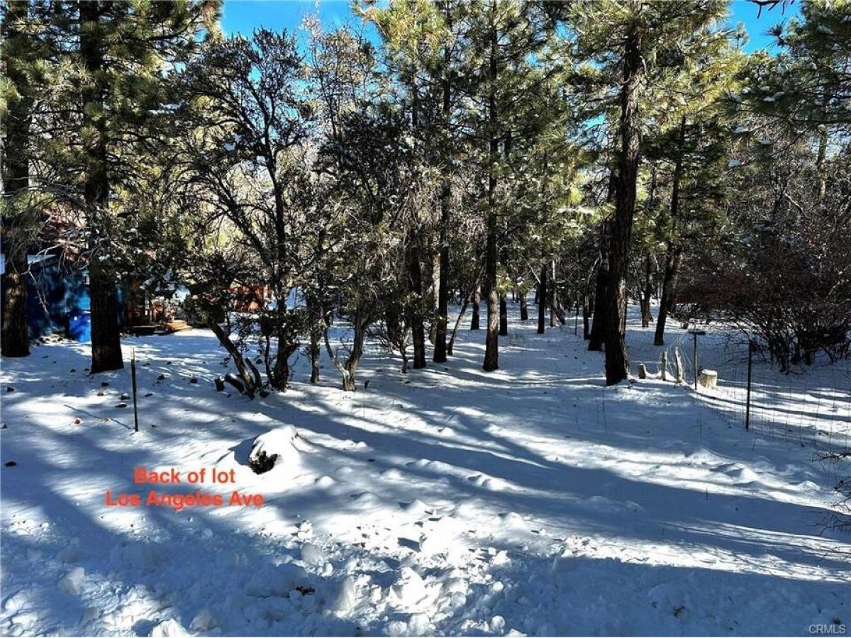 Picture of Residential Land For Sale in Sugarloaf, California, United States